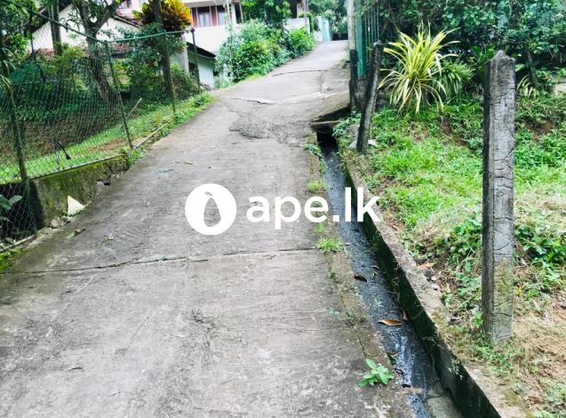 à¶œà¶¸à·Šà¶´à·„ à·ƒà·’à¶ºà¶±à·‘à¶´à·à¶»à·™à¶±à·Š à¶´à¶»à·Šà¶ à·ƒà·Š 10à¶šà·Š